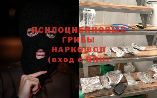 СК Бородино