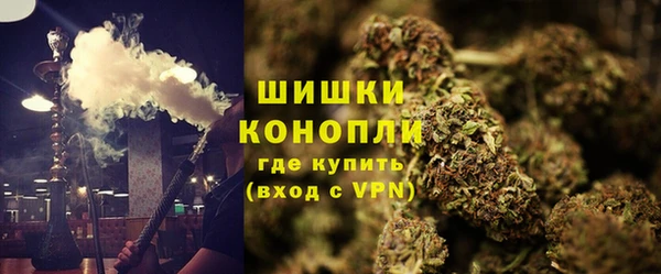 стаф Верхний Тагил