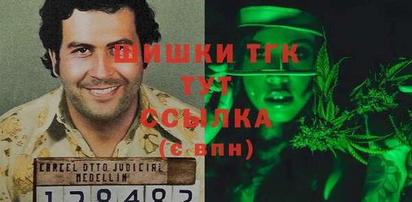 СК Бородино
