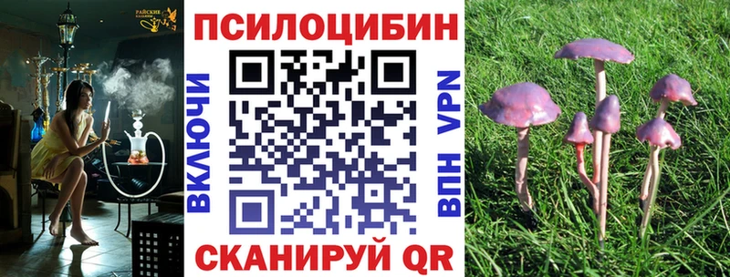 дарнет шоп  Горняк  Псилоцибиновые грибы MAGIC MUSHROOMS 